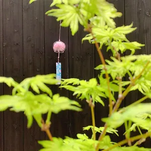 桃夭庵 Touyouan Momo House Kujo 一棟貸切 Kyoto